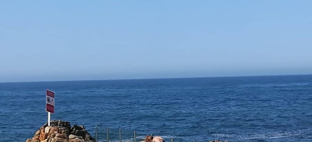 The Tidal Pools