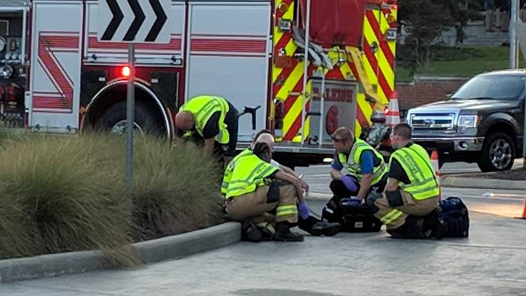 Ajisai Japanese Fusion