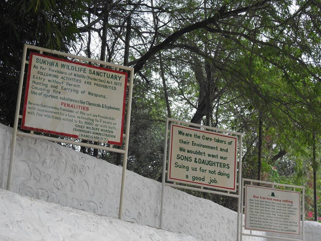 Birdwatching Paradise