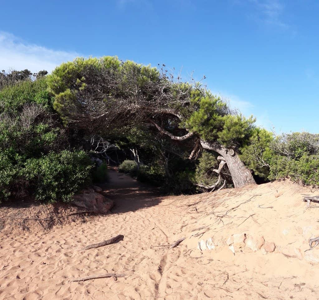 Pristine Turquoise Waters