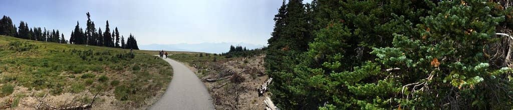 Educational Exhibits