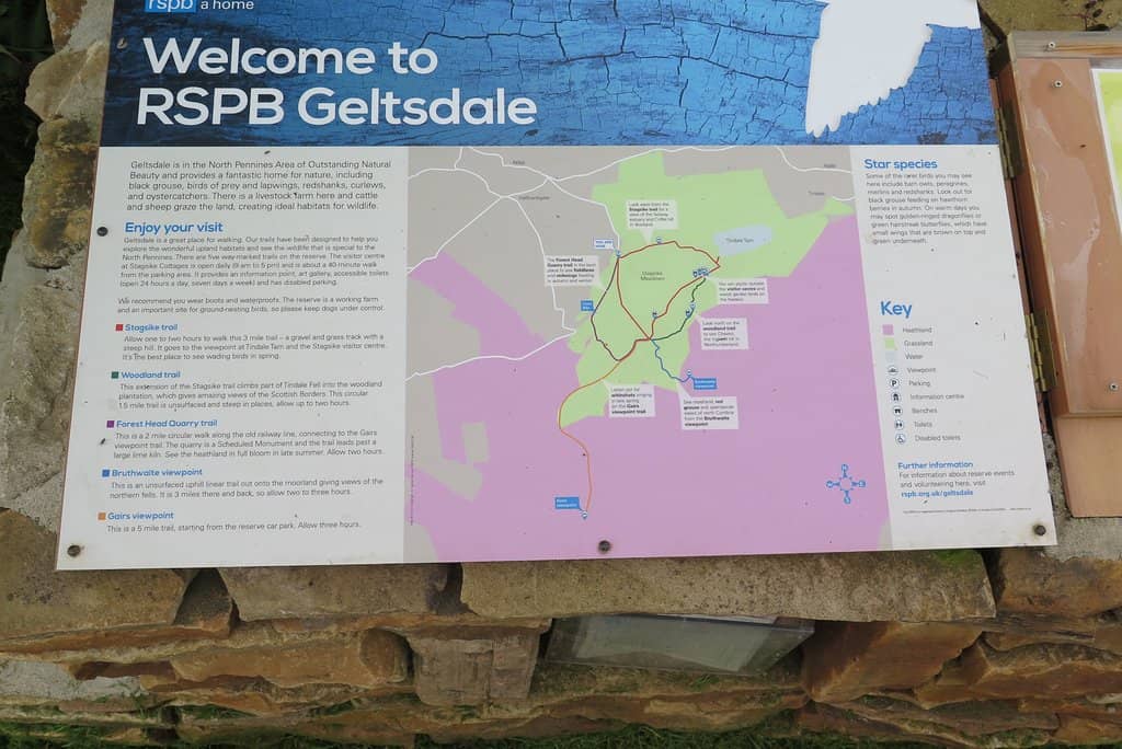 Landscape Restoration