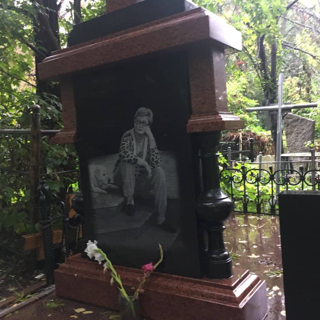 Atmospheric Old Trees