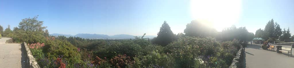 Community & Harmony Garden