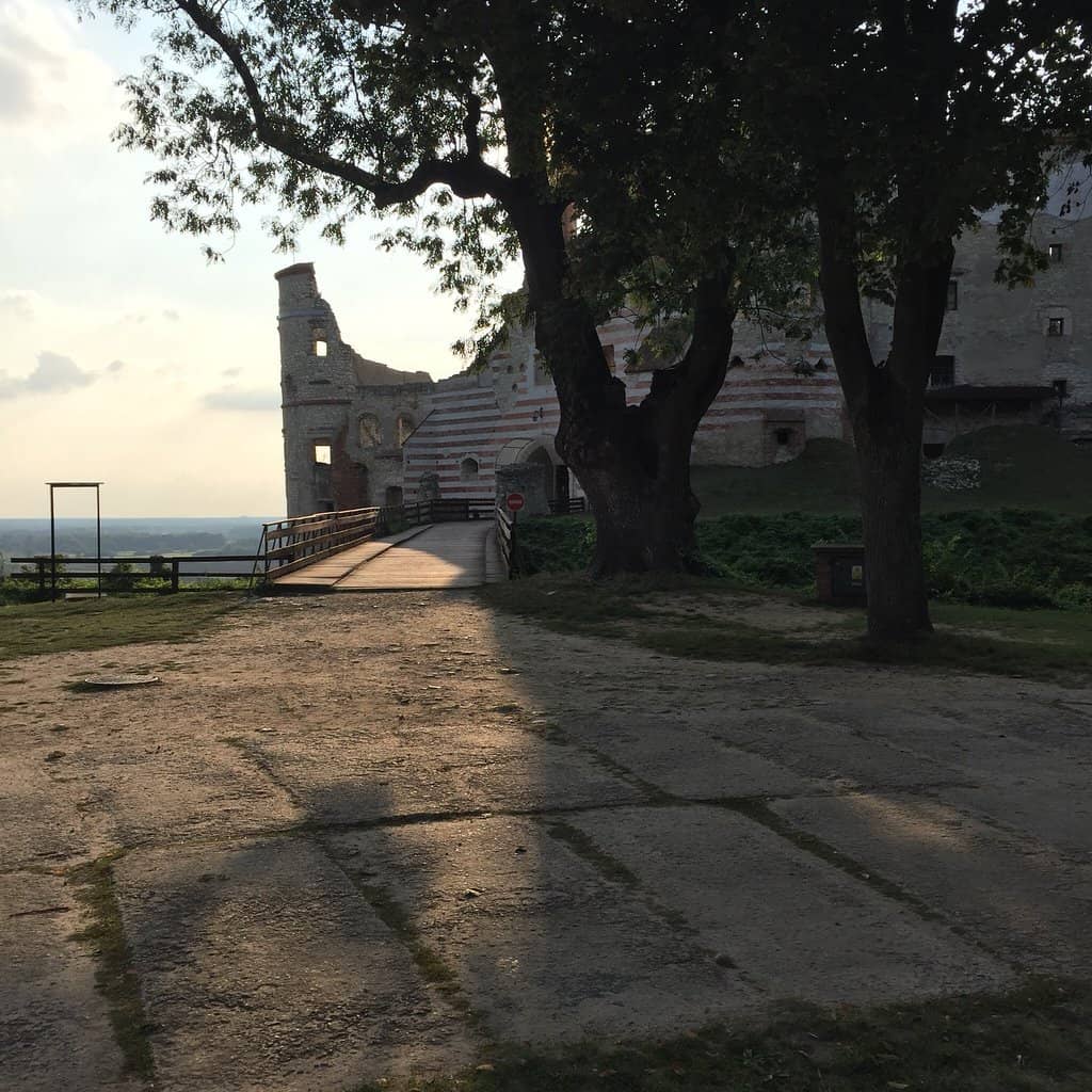 Vertical photo
