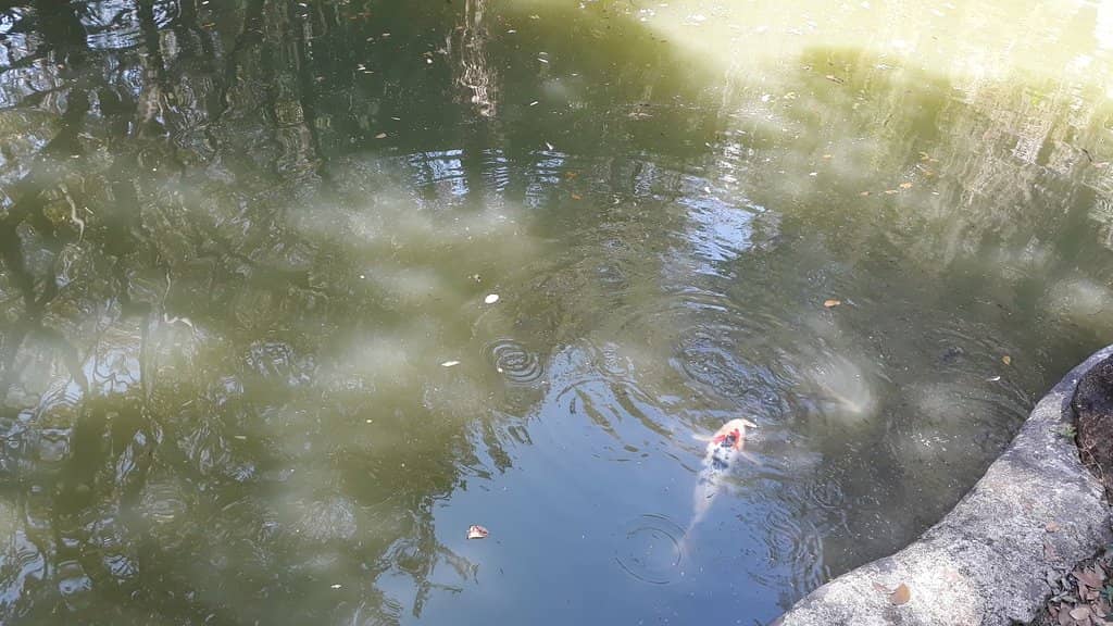 Ancient Geological History