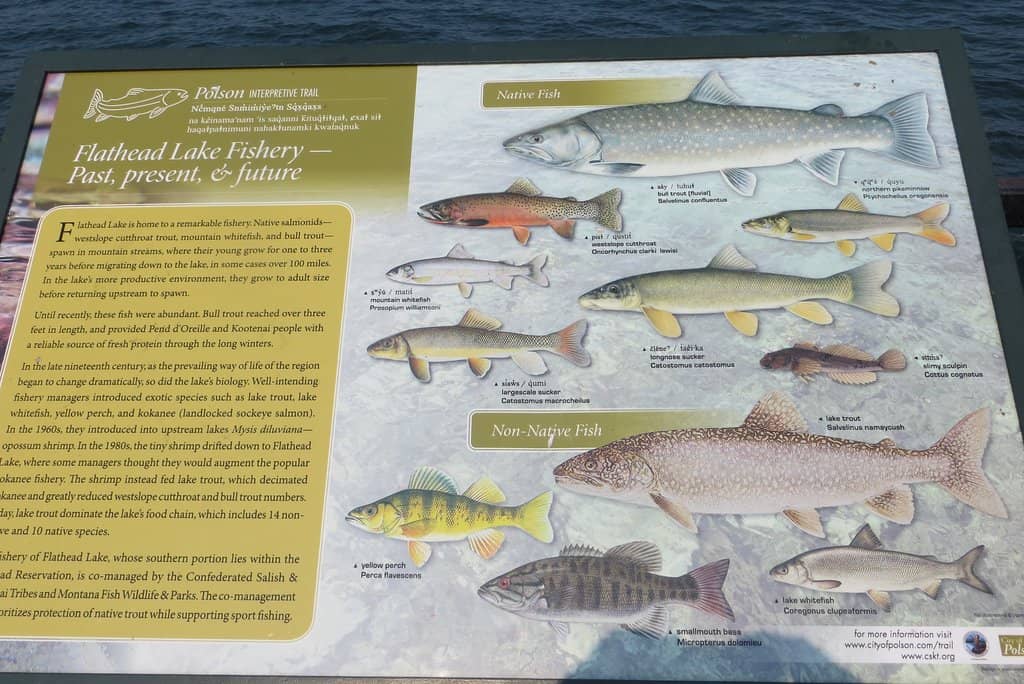 Kid-Friendly Monster Climb