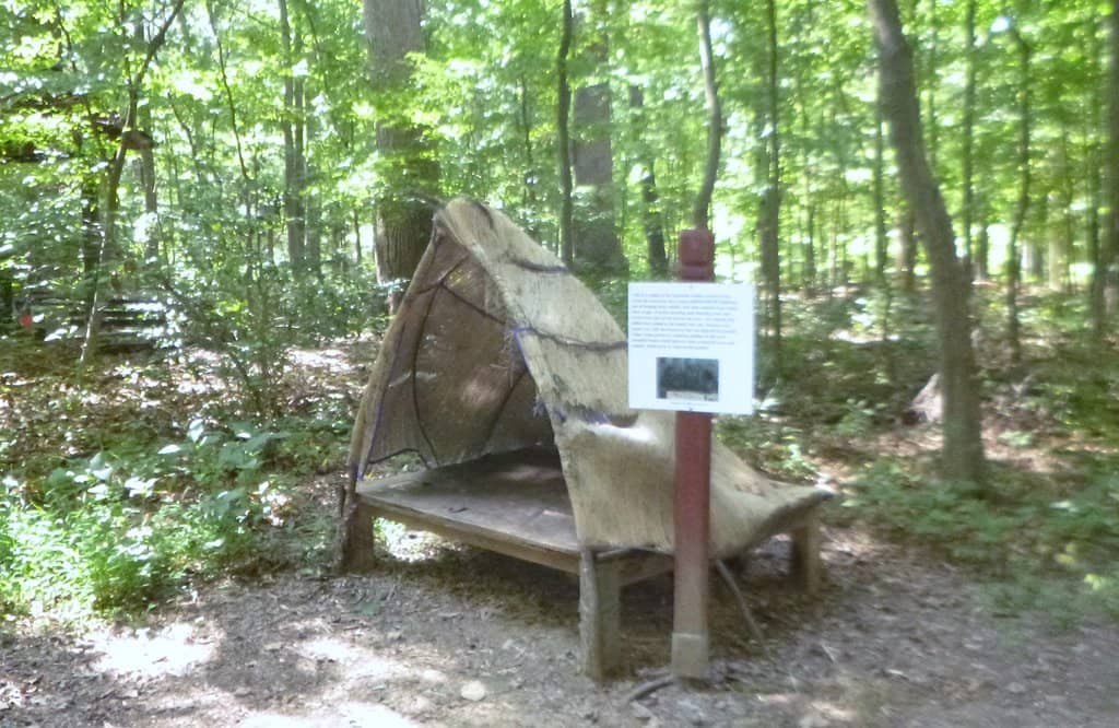 Nature-Themed Playground
