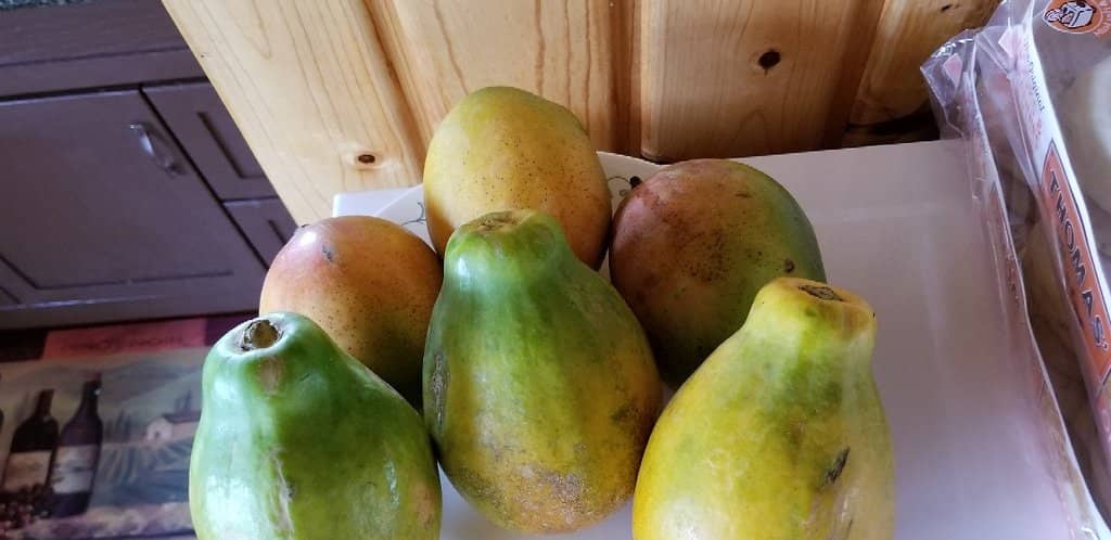 Local Delicacies and Food Stalls