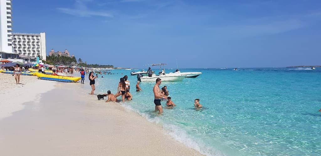 Local Vendor Experience