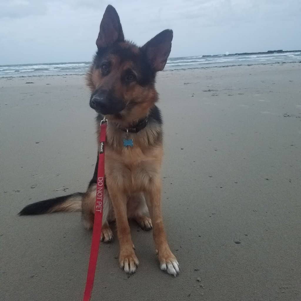 Laudholm Beach & Reserve