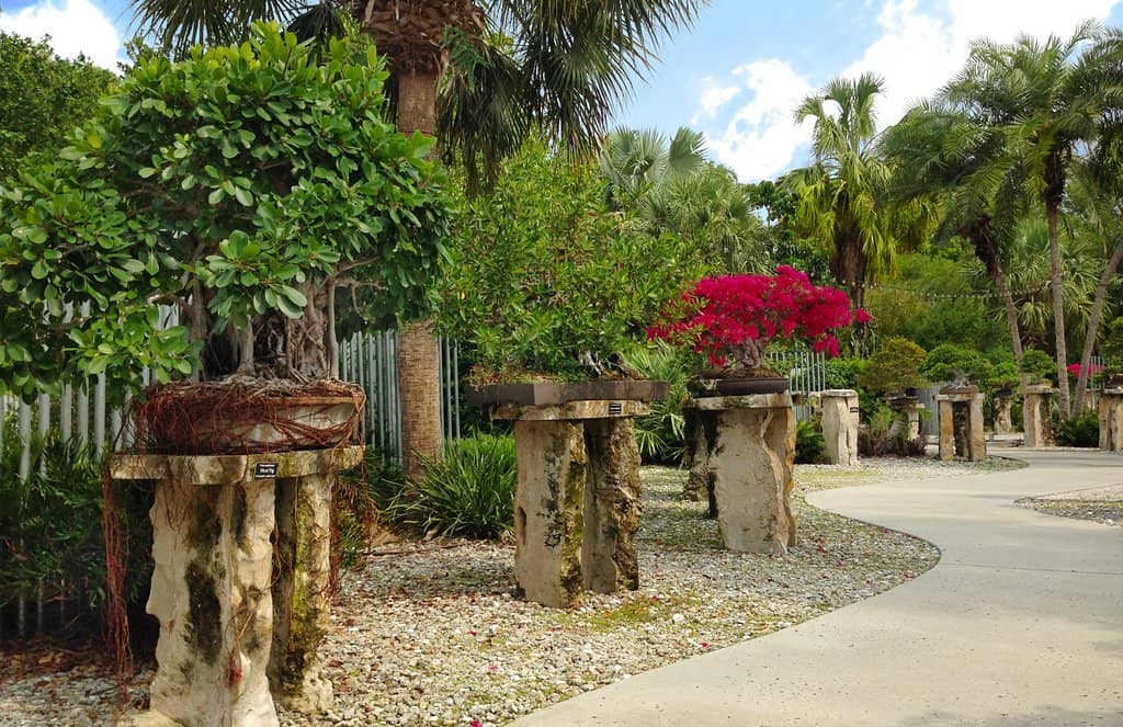 Kids' Garden & Playground