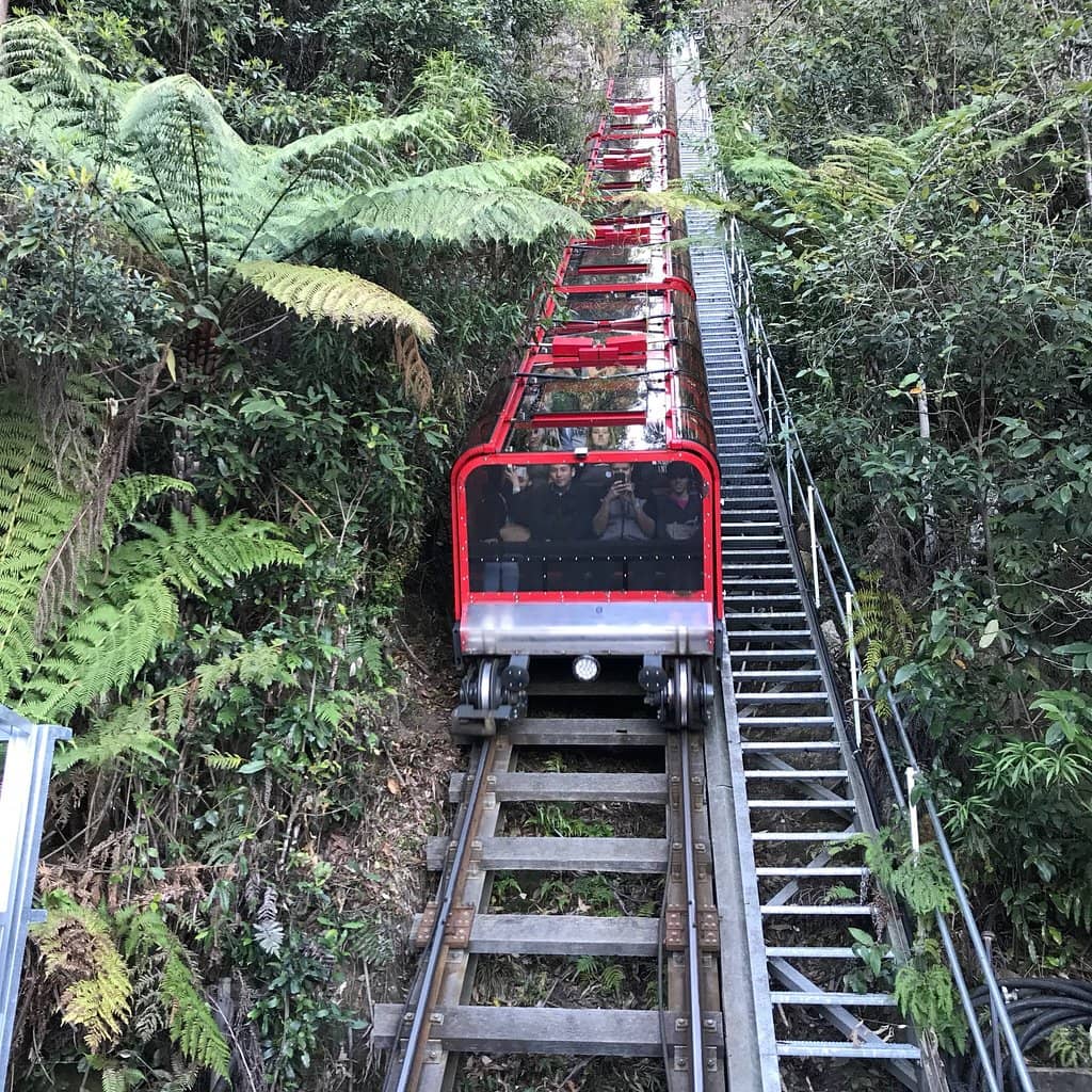 Scenic Cableway