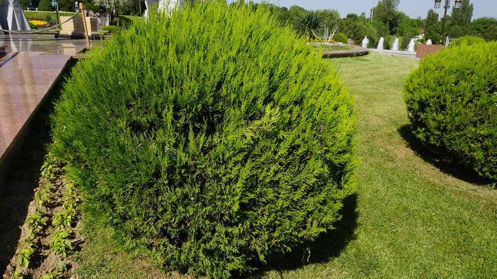Central Lake & Boating