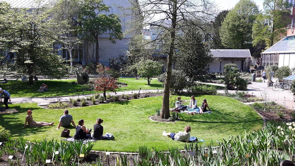 Peaceful Walking Paths