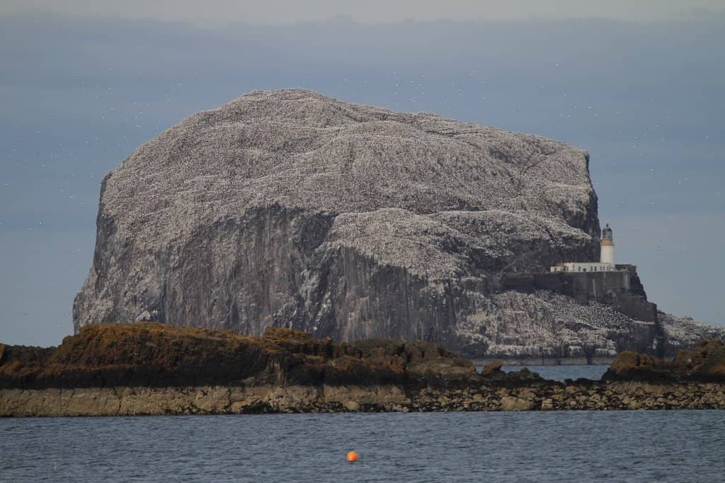 Tantallon Castle Views