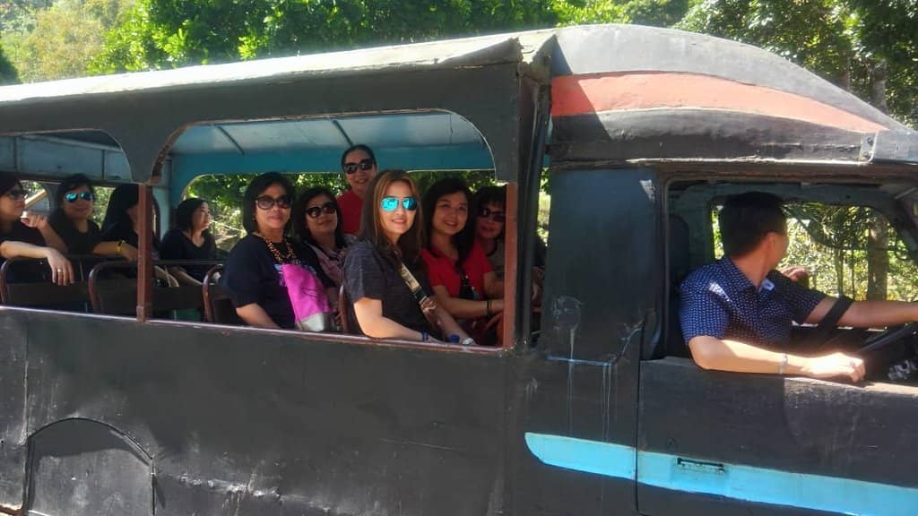 Lush Natural Scenery