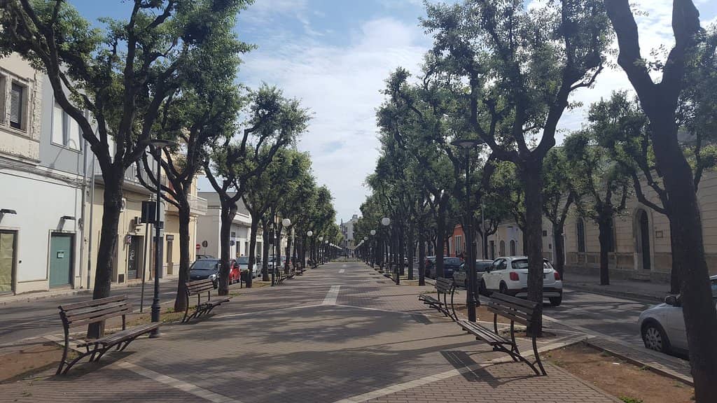 Coastal Views and Swims