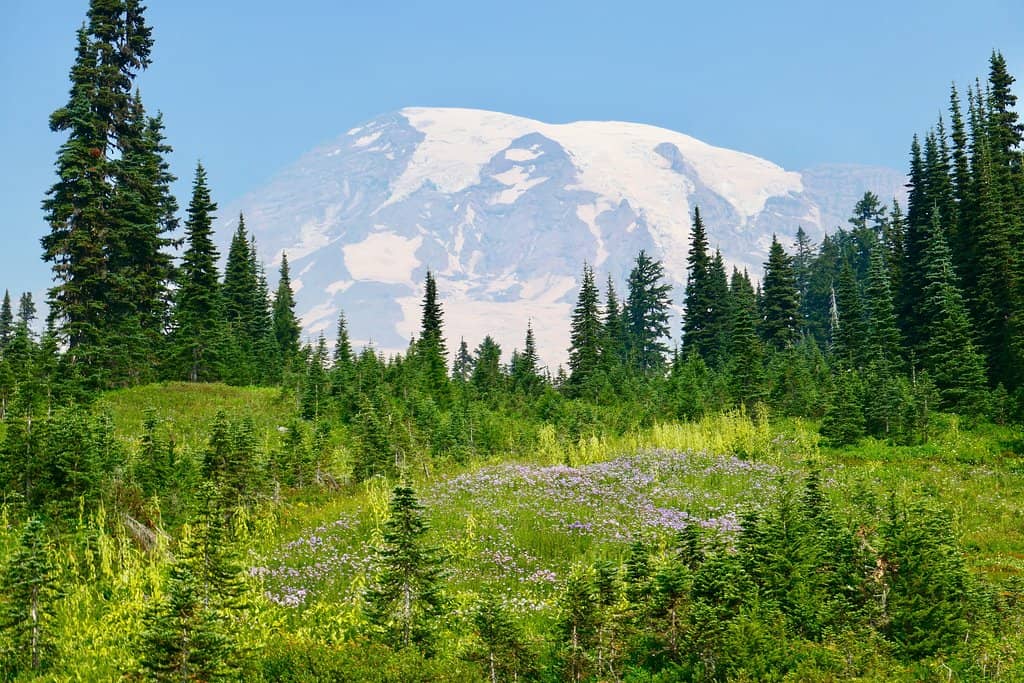 Panoramic Mountain Views
