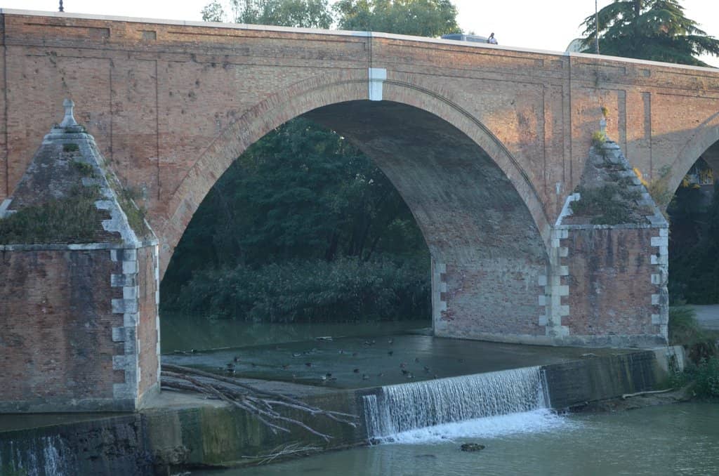 Savio River Views