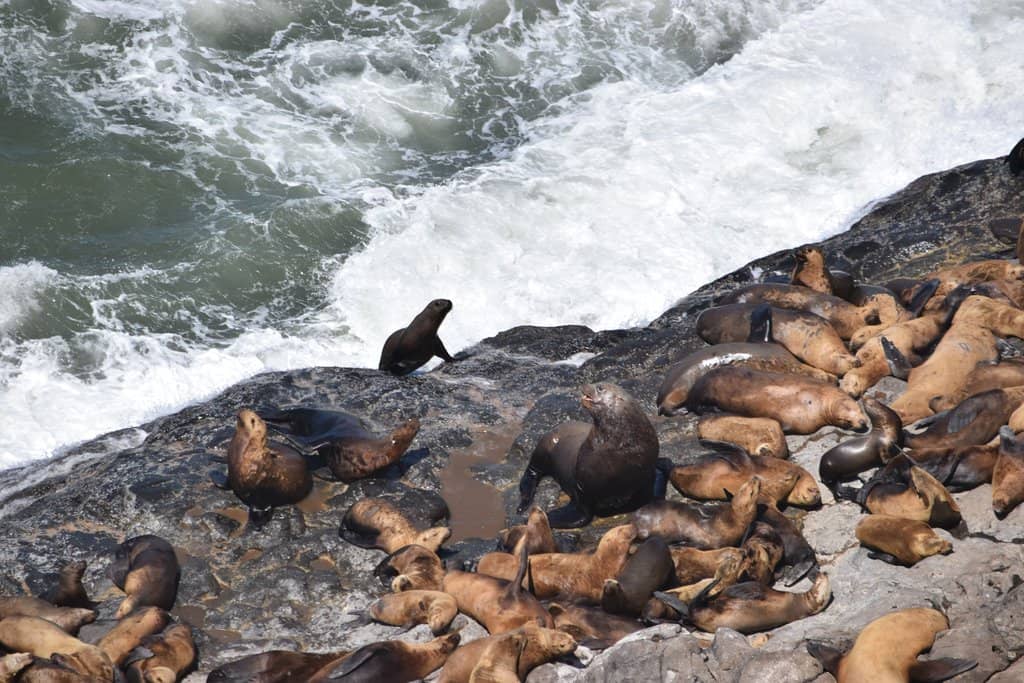 Panoramic Lake Superior Views