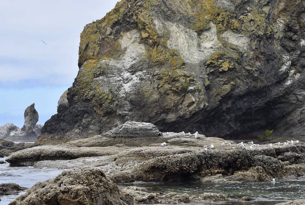 Tillamook Rock Lighthouse View