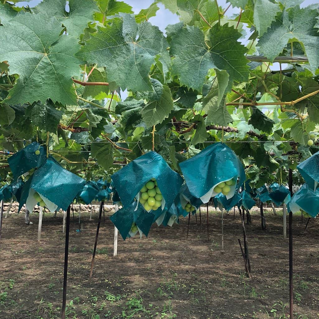 Friendly Staff & Atmosphere