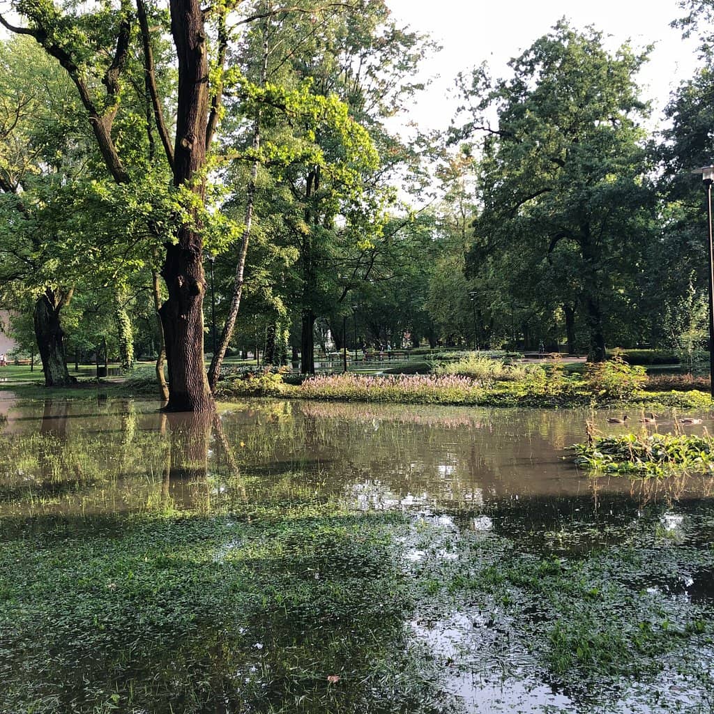 Lush Greenery and Ponds