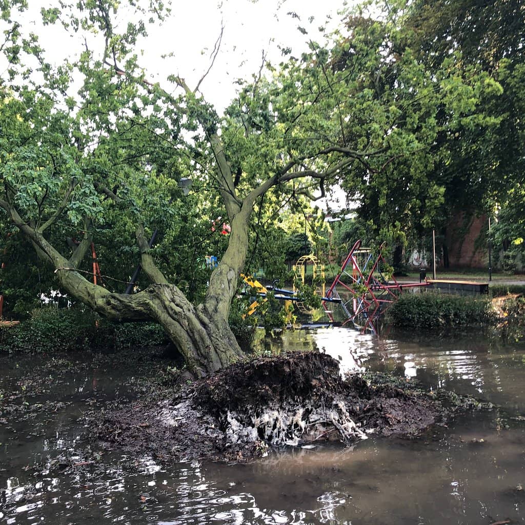 Statues of Słowacki