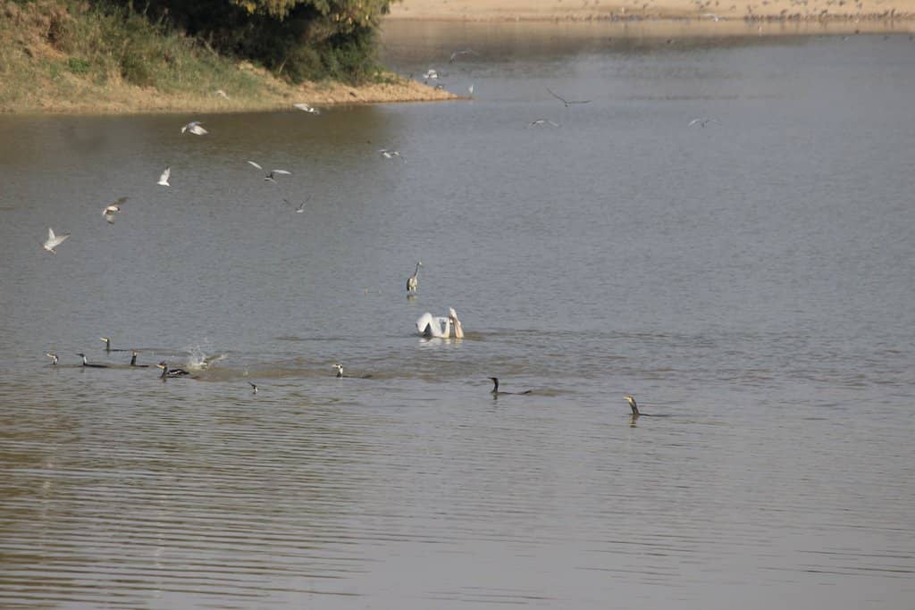 Bhuj Market's Artisan Crafts