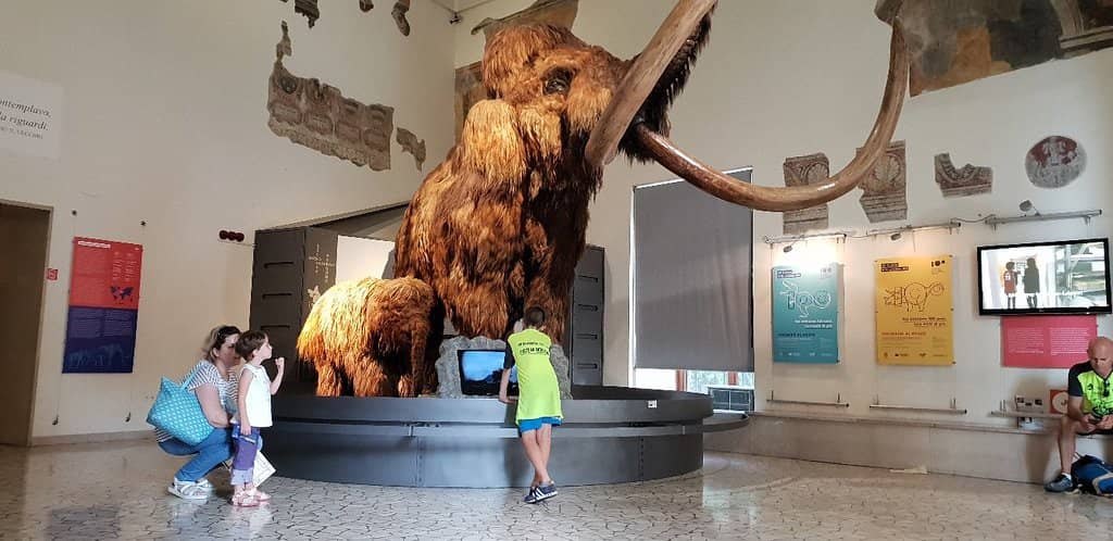 Interactive Invertebrate Zone