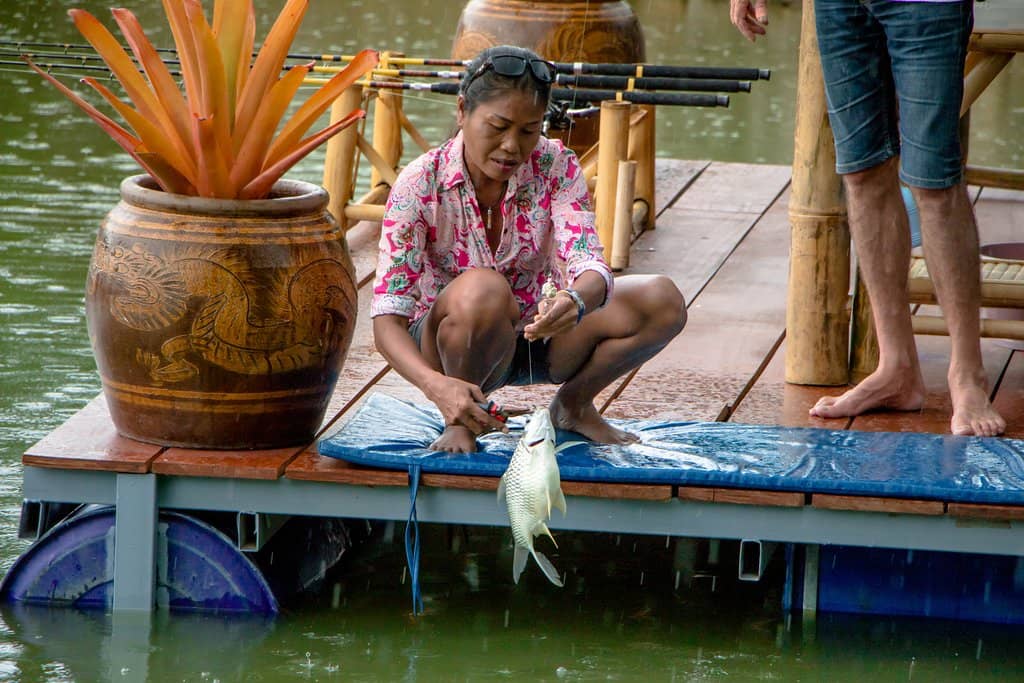 Seafood Dining Experience