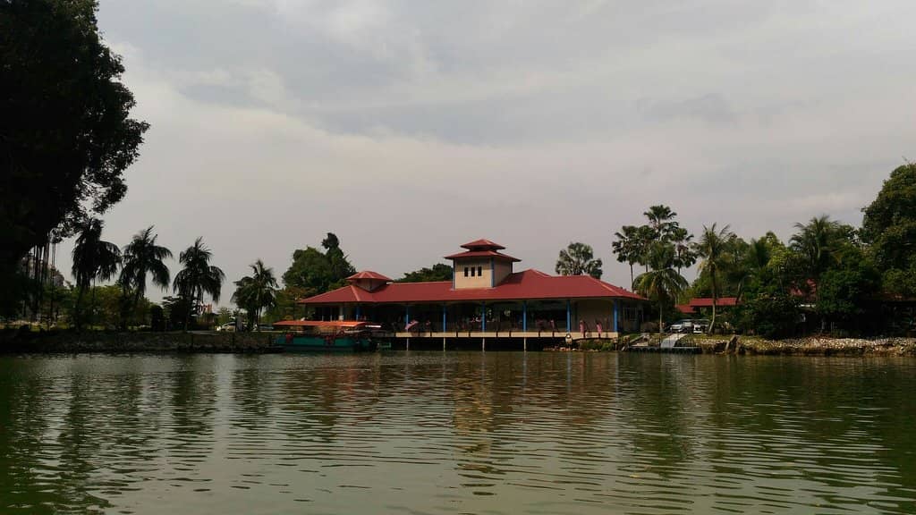 Petting Zoo Encounters