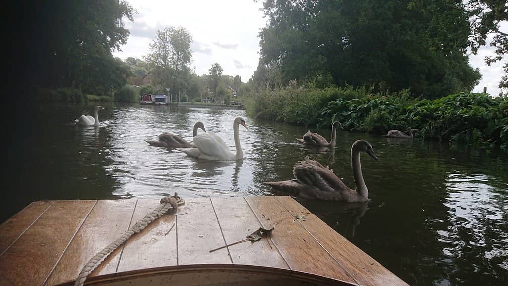 Riverside Pubs