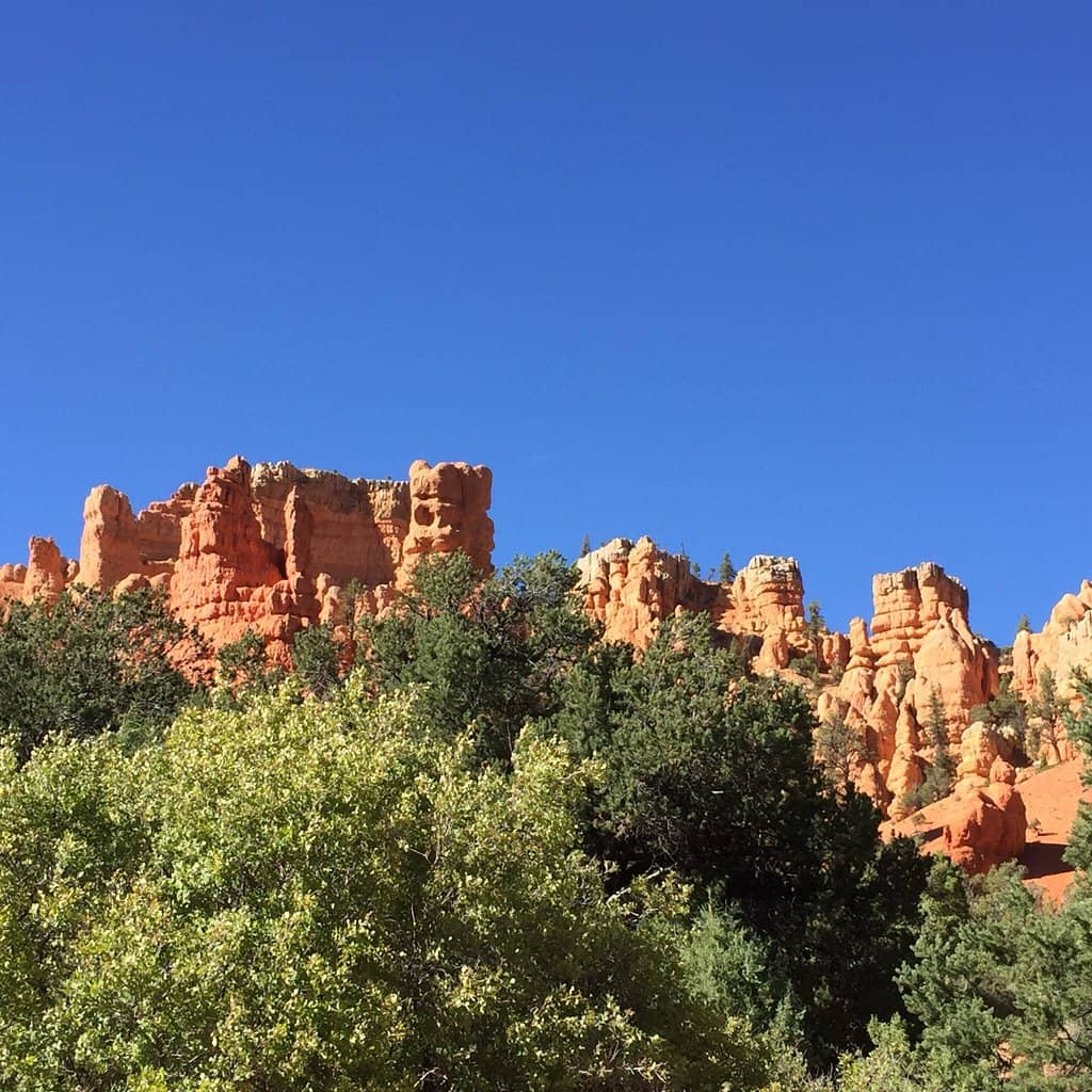The Hogback Section