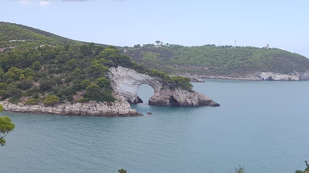 Panetteria Riscigno's Baked Goods