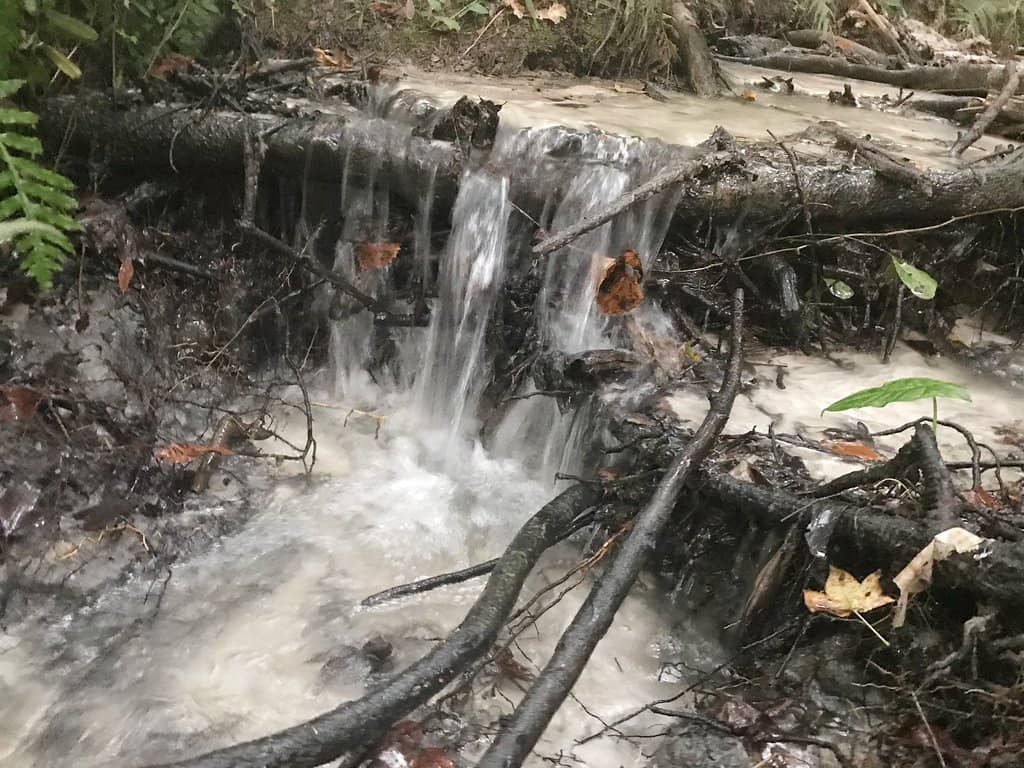 The Sinkhole Trail