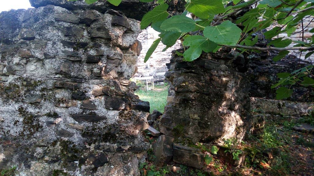 Vertical photo
