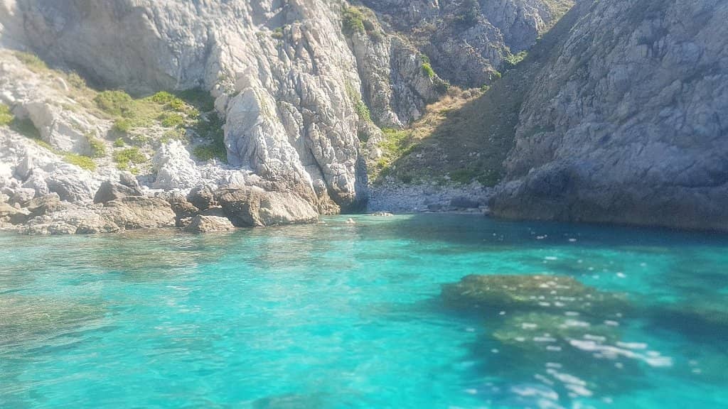 Vibrant Snorkeling