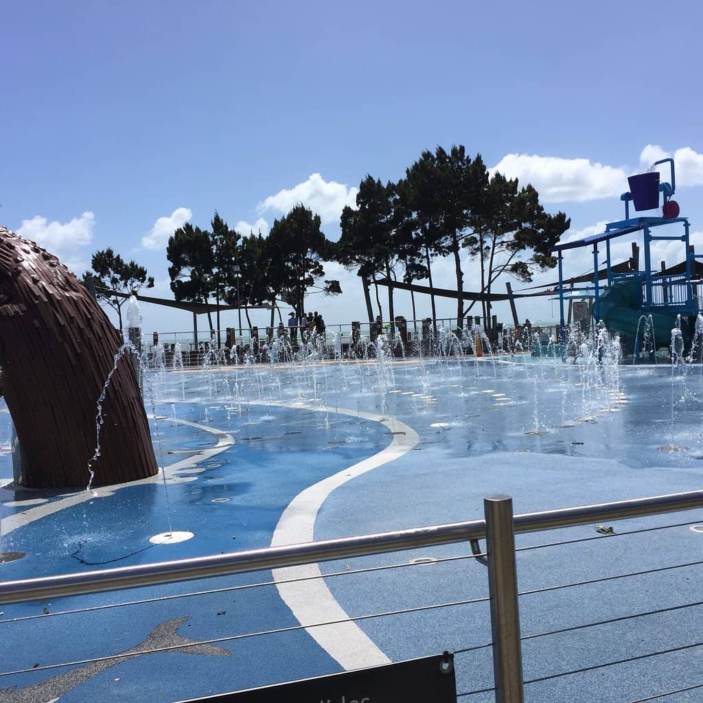 Thrilling Water Slides