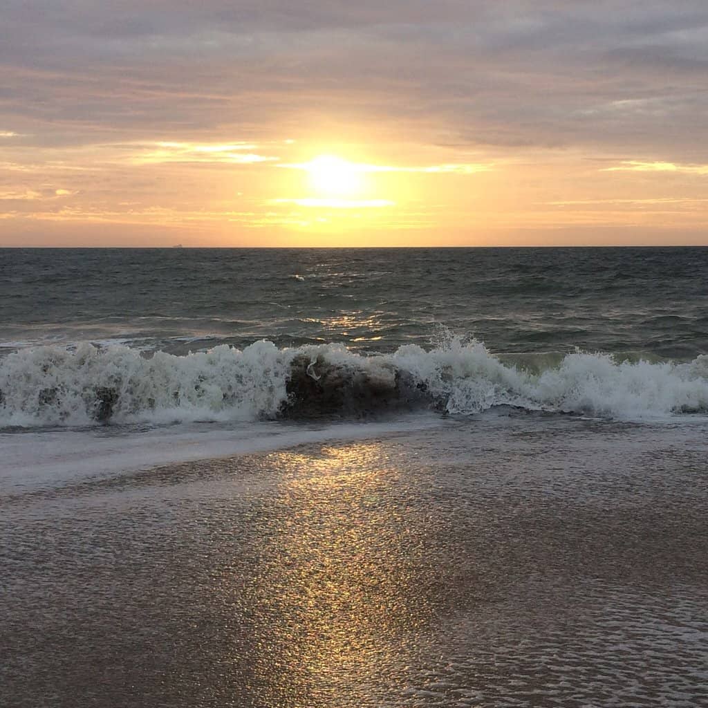 The Beach Itself