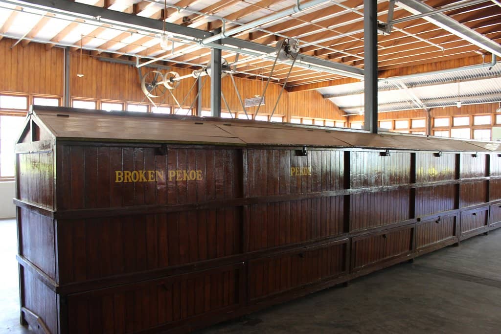 Antique Tea Processing Machinery