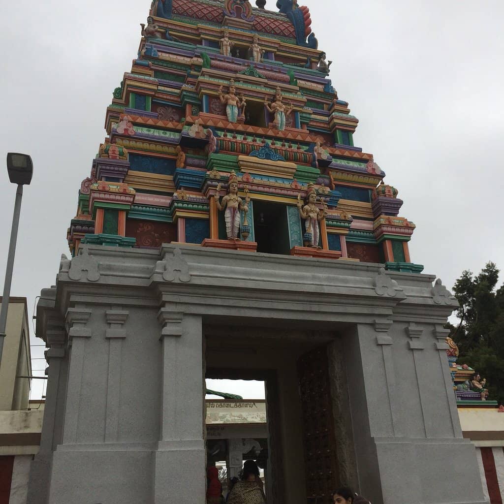 Vertical photo