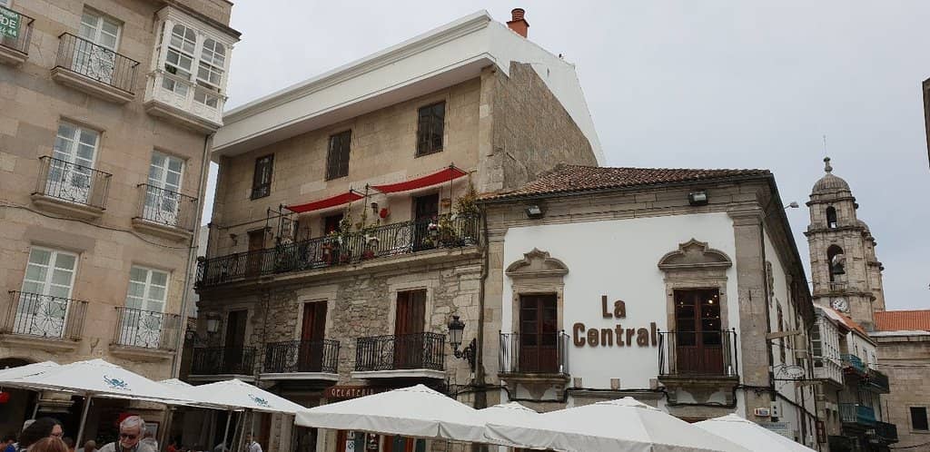 Freshly Shucked Oysters