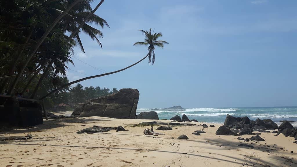 Tranquil Beach Vibes