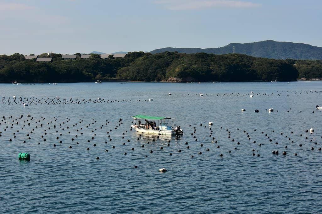 Scenic Coastal Views