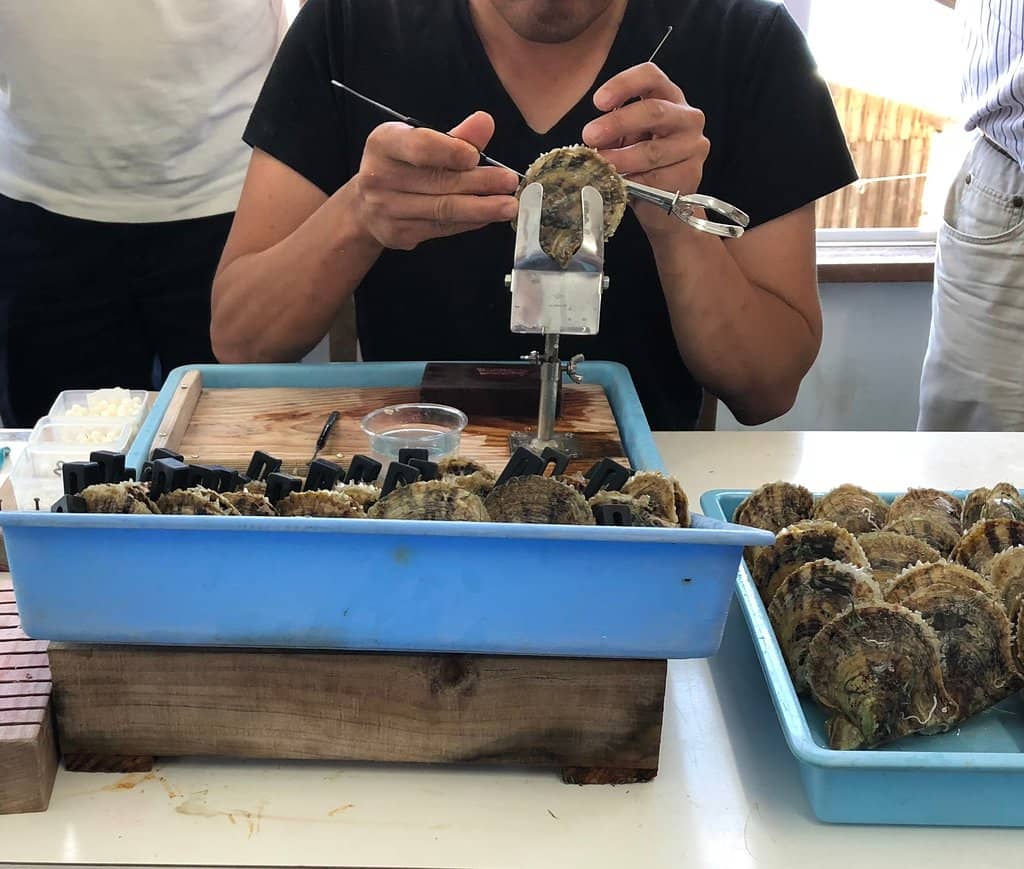 Fresh Oyster Tasting