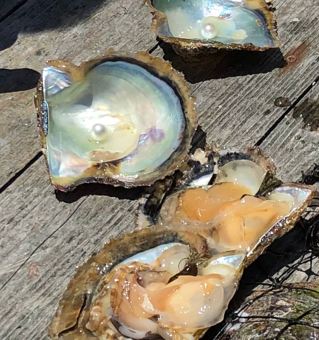Create Your Own Pearl Jewelry