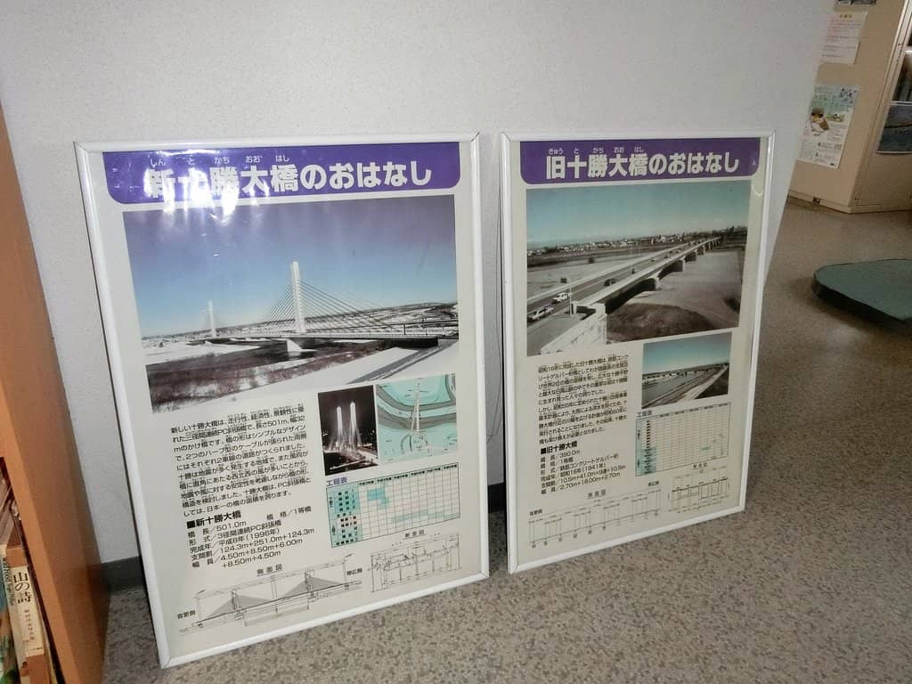 Campsite & Crane Sightings