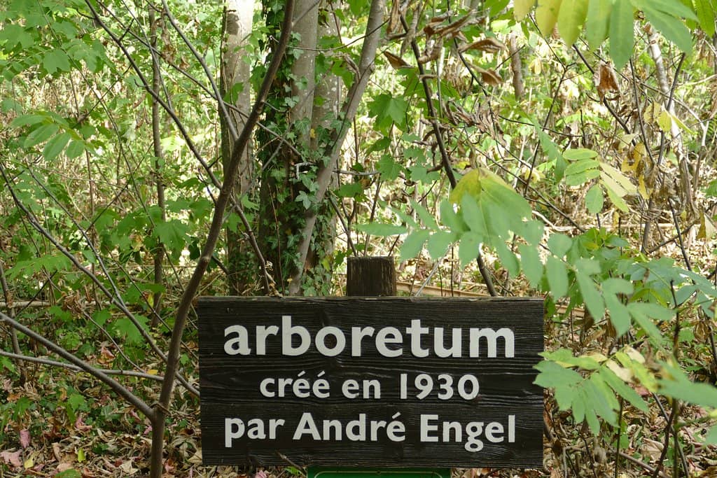 Belle Époque Interior